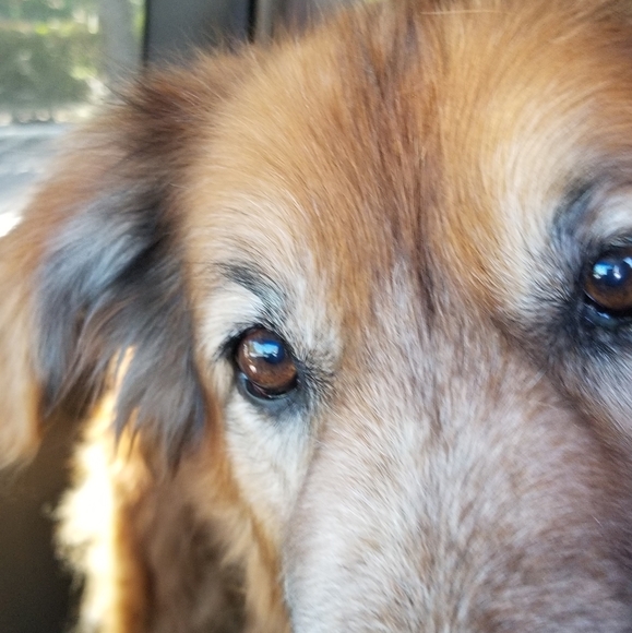 Meet your Poshers, M & K - Picture 3 of 3